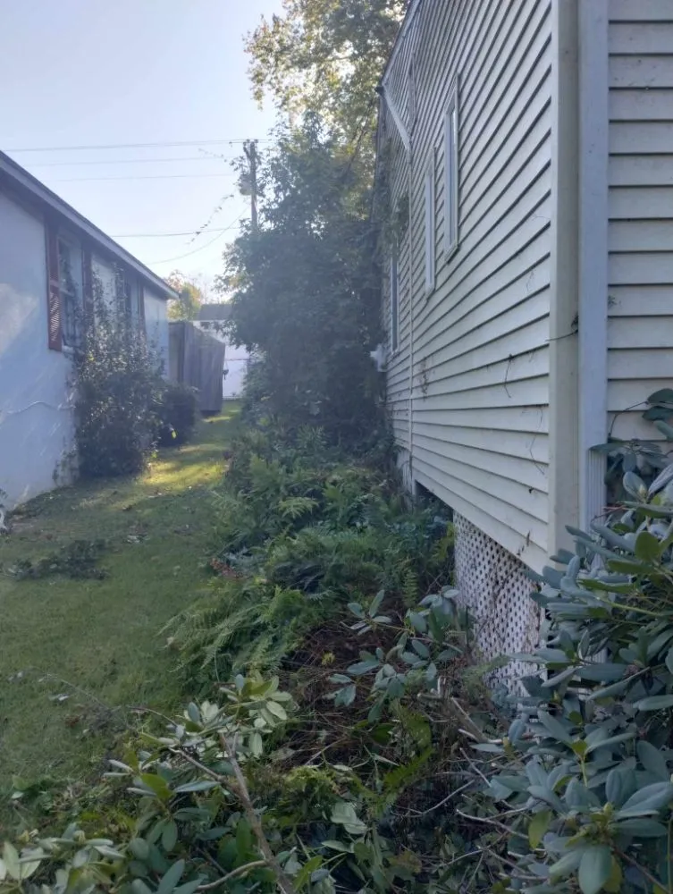 Affordable residential landscaping experts serving Earleville, MD - Brandscaping Creations
