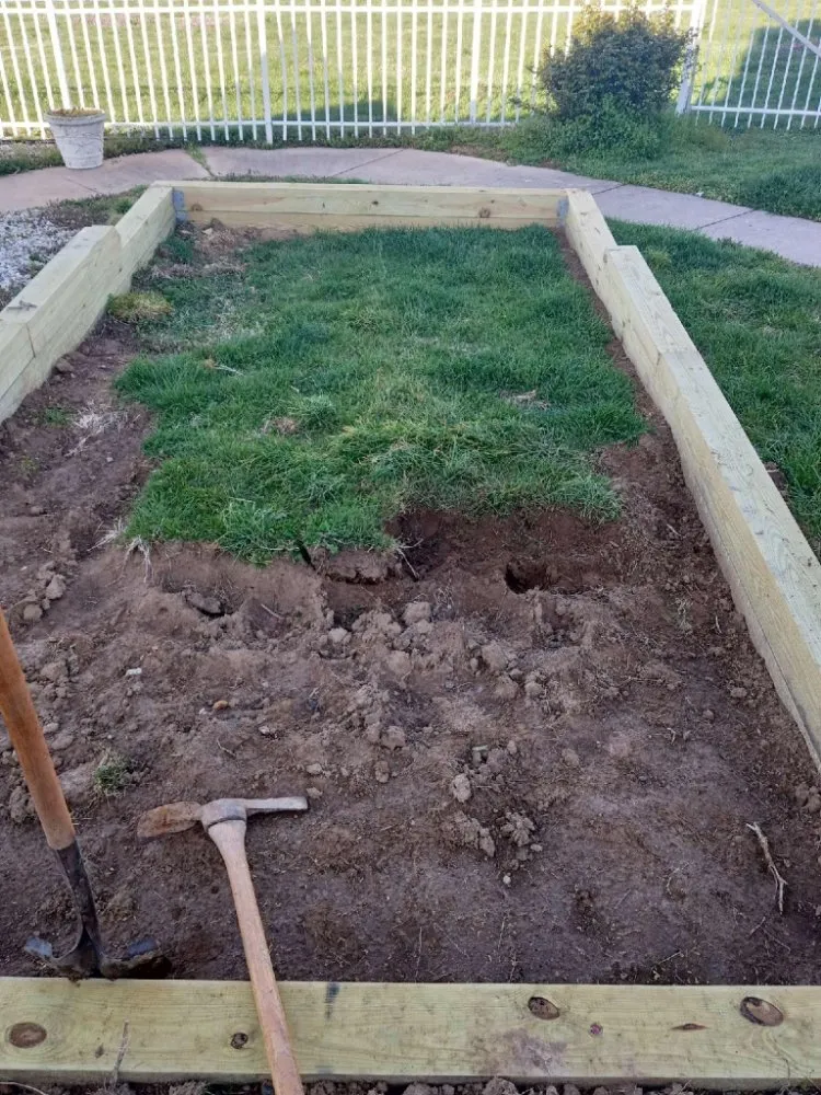 Professional lawn mowing service with custom design in Earleville, MD by Brandscaping Creations