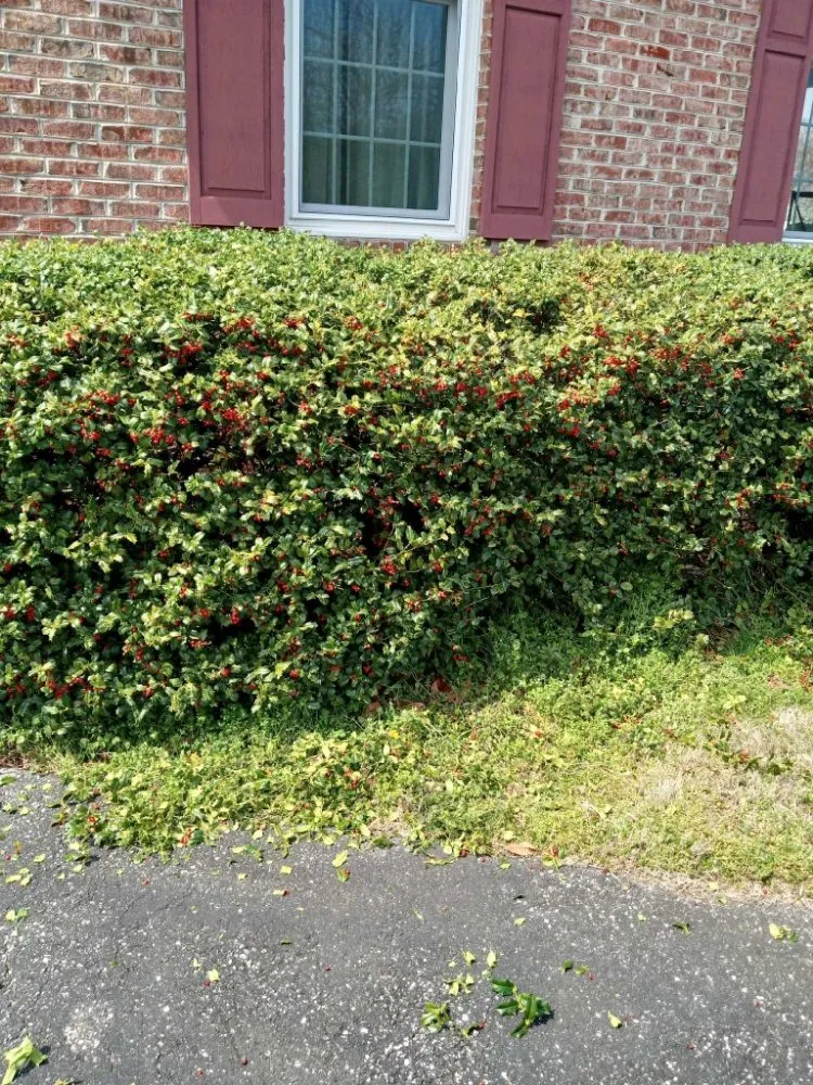 Custom landscaping services in Earleville, MD - Brandscaping Creations