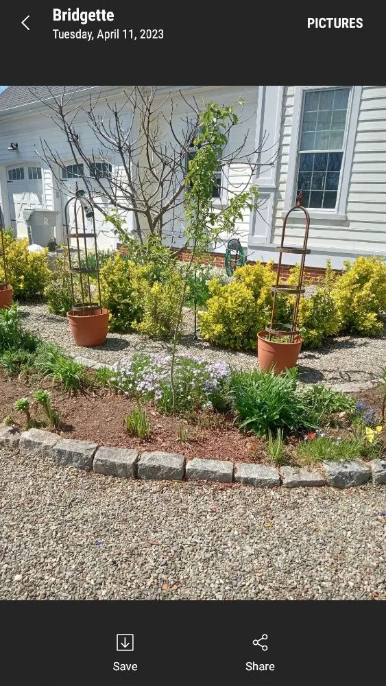 Local lawn mowing service experts serving Earleville, MD - Brandscaping Creations
