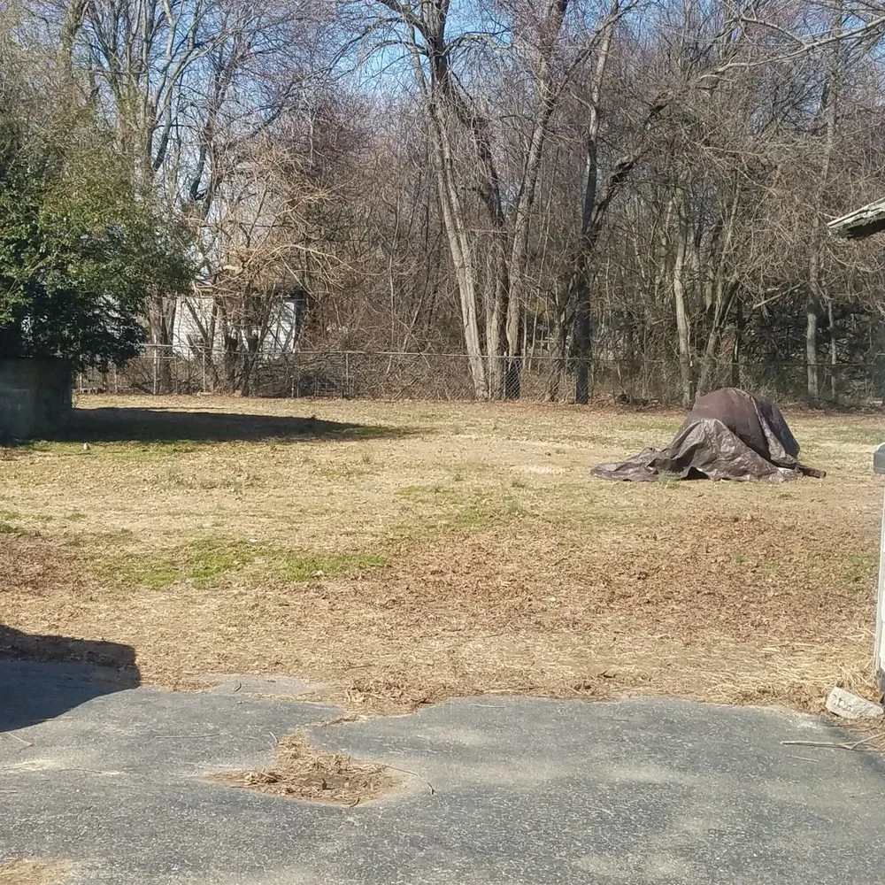 Top-rated yard cleanup service for year-round maintenance across Earleville, MD - Brandscaping Creations