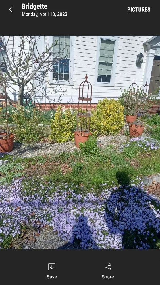 Expert landscape design experts serving Earleville, MD - Brandscaping Creations