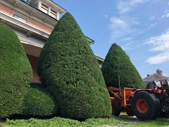 Top-rated residential landscaping in Palmyra, PA - Brandt's Landscaping