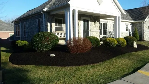 Trusted yard cleanup service in Palmyra, PA by Brandt's Landscaping