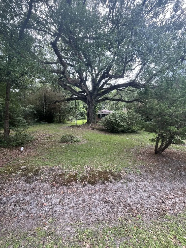 Custom yard maintenance in Slidell, LA by Brandts Lawncare