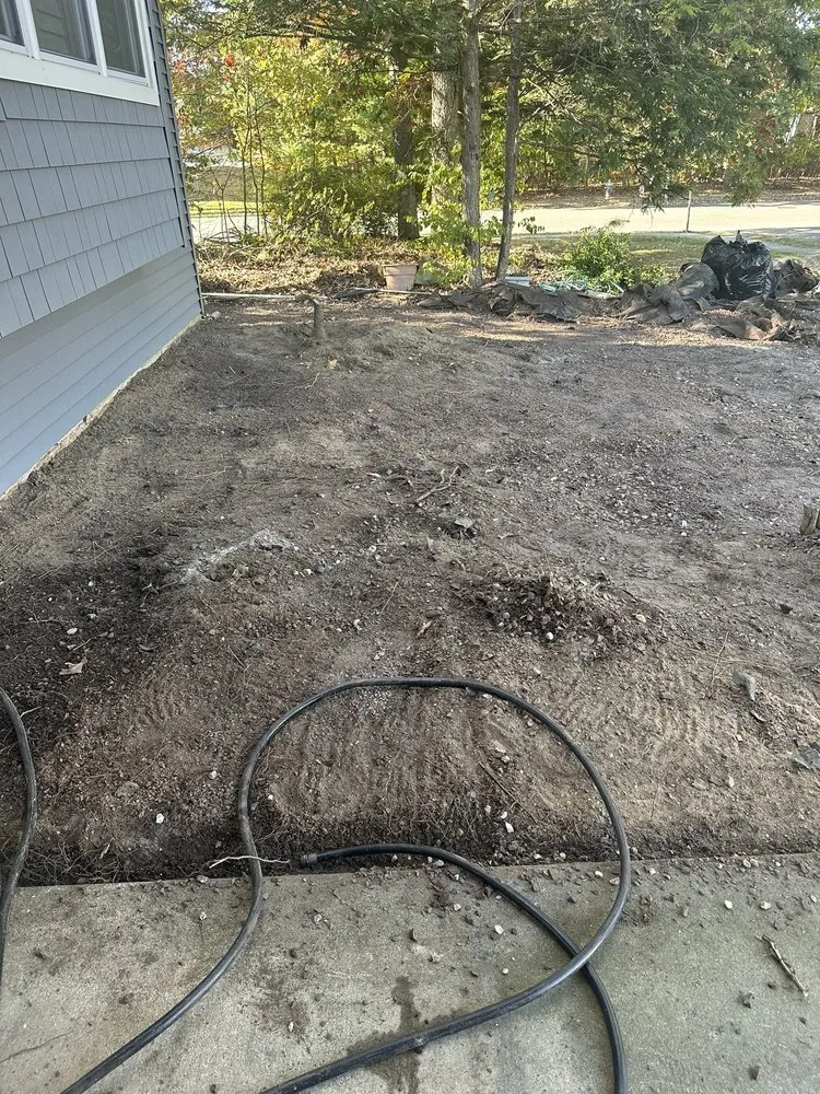 Local lawn care service in Browns Mills, NJ - Brandts Tree service