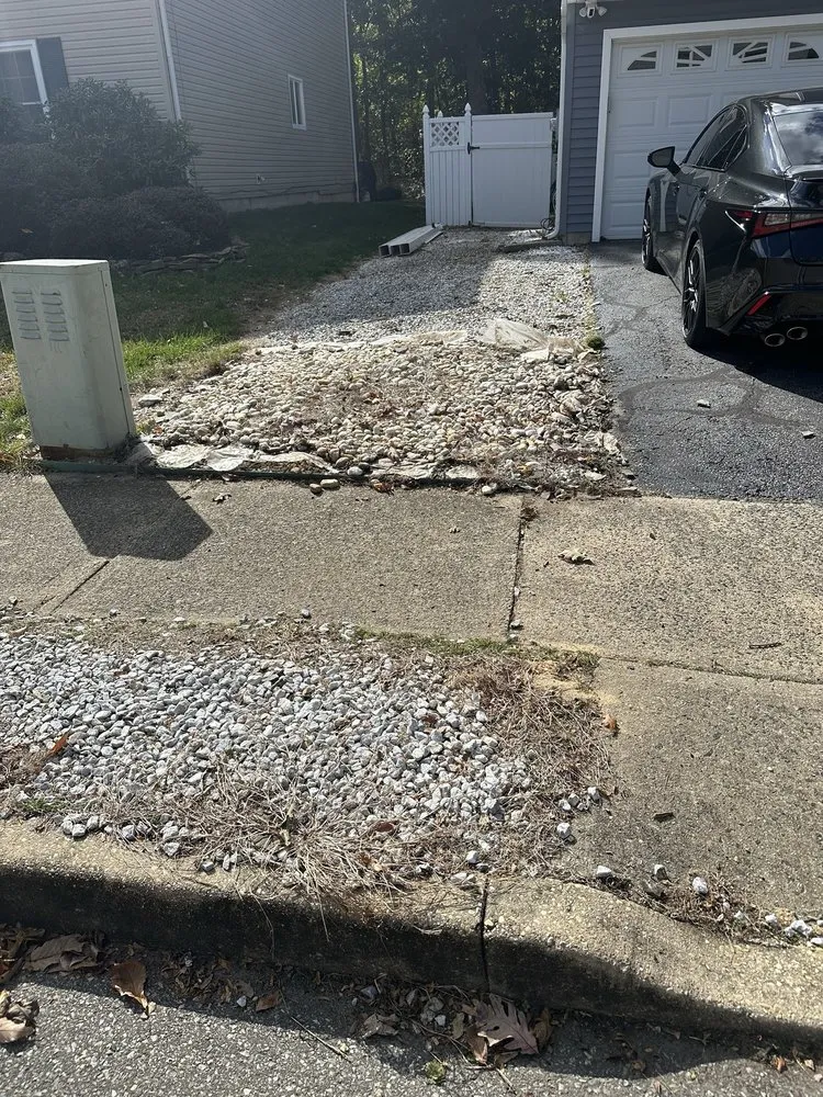 Professional yard cleanup service in Browns Mills, NJ by Brandts Tree service