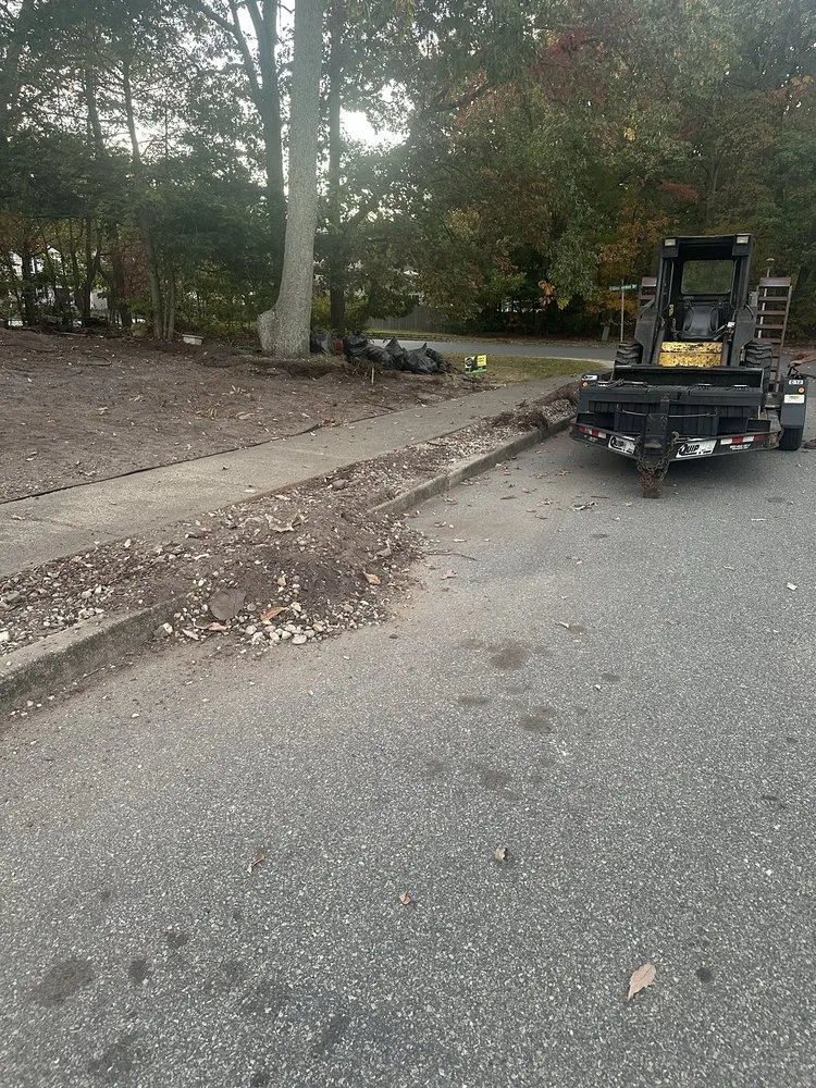Professional yard cleanup service experts serving Browns Mills, NJ - Brandts Tree service