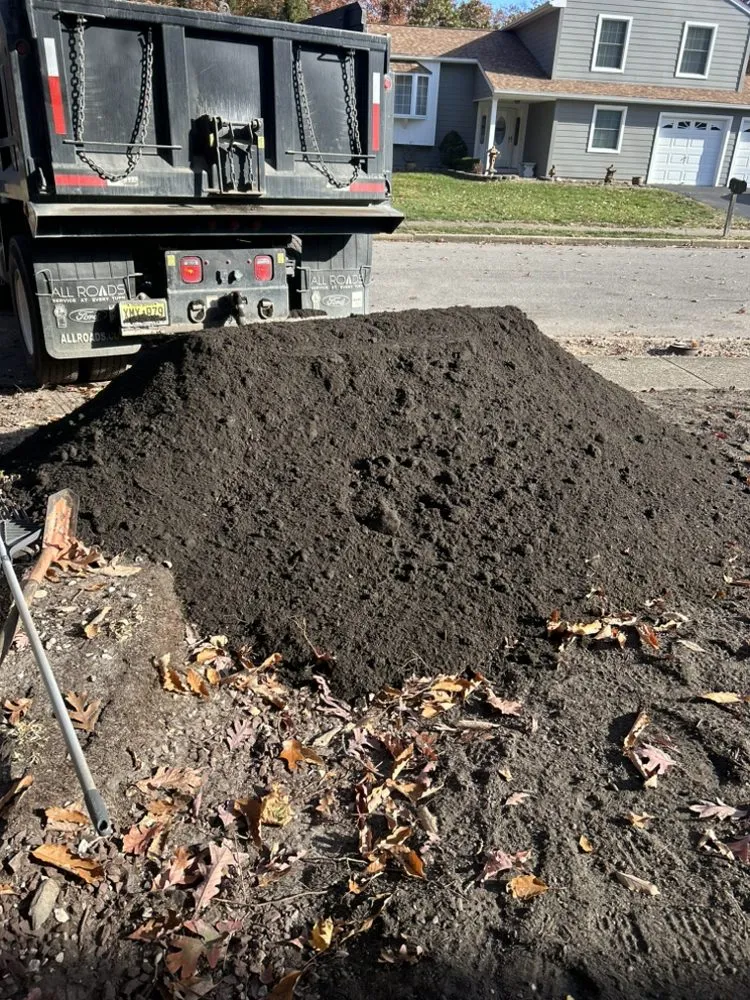 Affordable landscaping services for residential properties across Browns Mills, NJ - Brandts Tree service