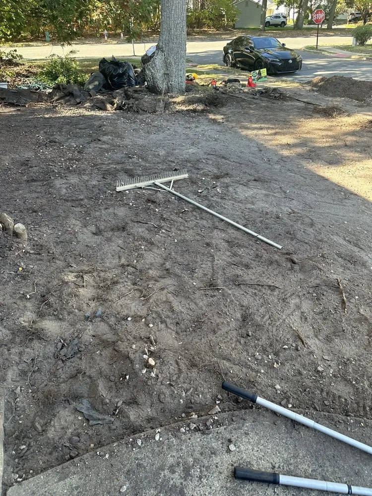 Local yard maintenance with custom design in Browns Mills, NJ by Brandts Tree service