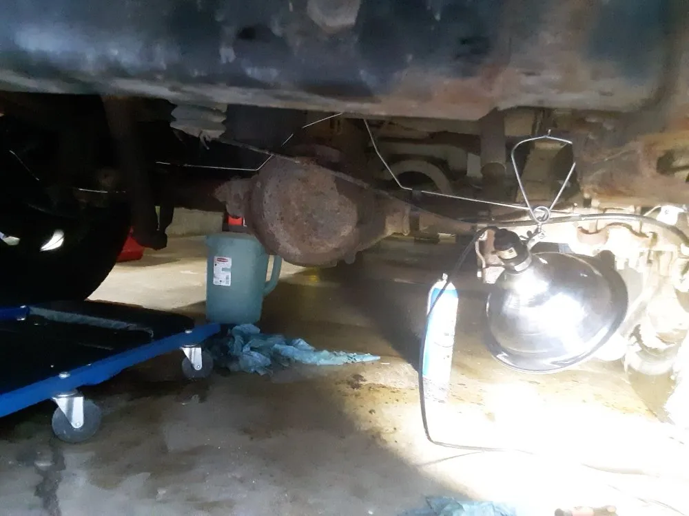 Trusted yard cleanup service in Macomb, IL - Brandylion's Gig and Referral Services