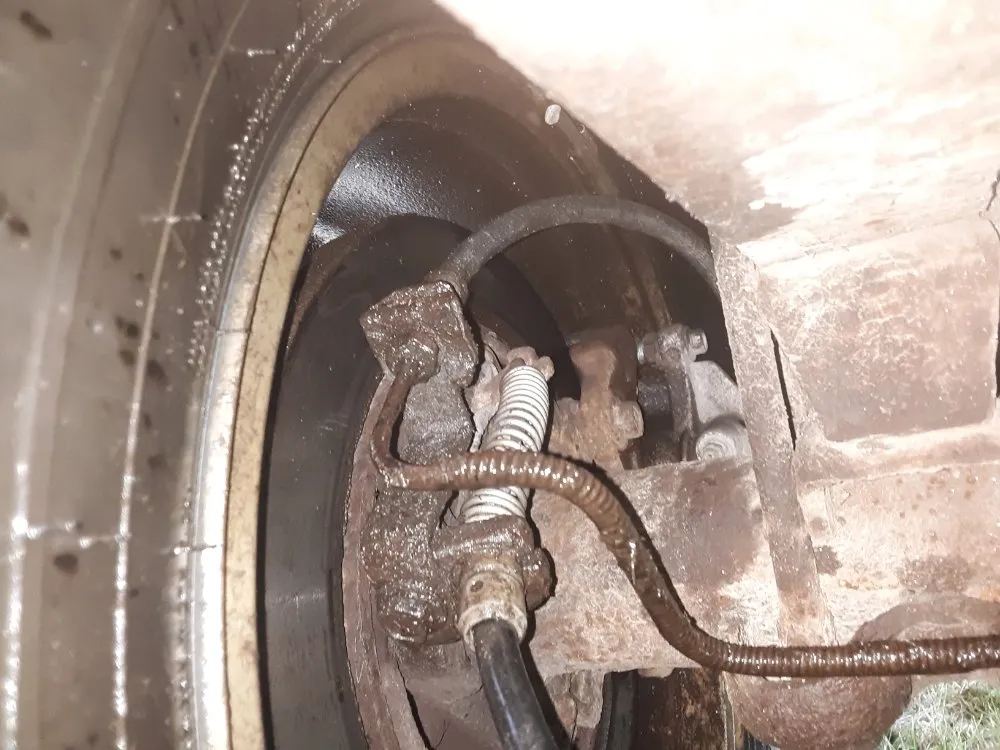 Local garden landscaping experts serving Macomb, IL - Brandylion's Gig and Referral Services