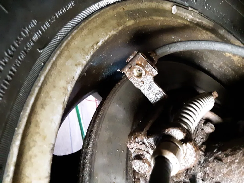 Trusted lawn care service in Macomb, IL by Brandylion's Gig and Referral Services