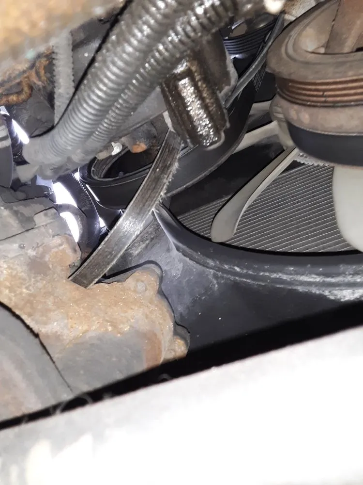 Custom yard maintenance for residential properties across Macomb, IL - Brandylion's Gig and Referral Services