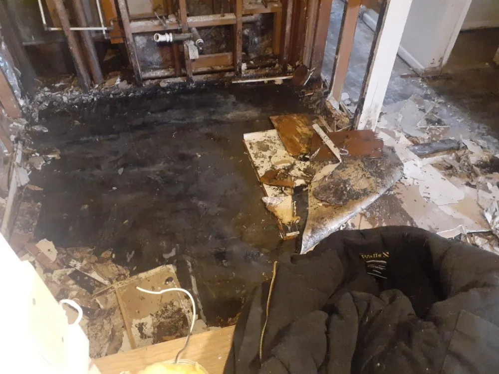 Expert landscape design for beautiful yards across Macomb, IL - Brandylion's Gig and Referral Services