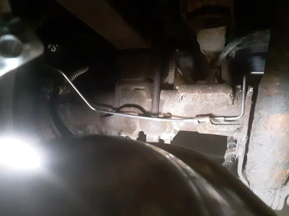 Local landscaping services experts serving Macomb, IL - Brandylion's Gig and Referral Services