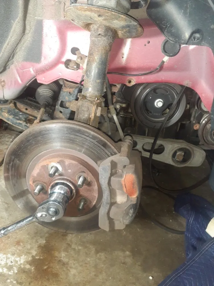 Custom outdoor landscaping in Macomb, IL - Brandylion's Gig and Referral Services