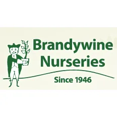 Local landscape design in Wilmington, DE - Brandywine Nurseries