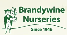Brandywine Nurseries Logo