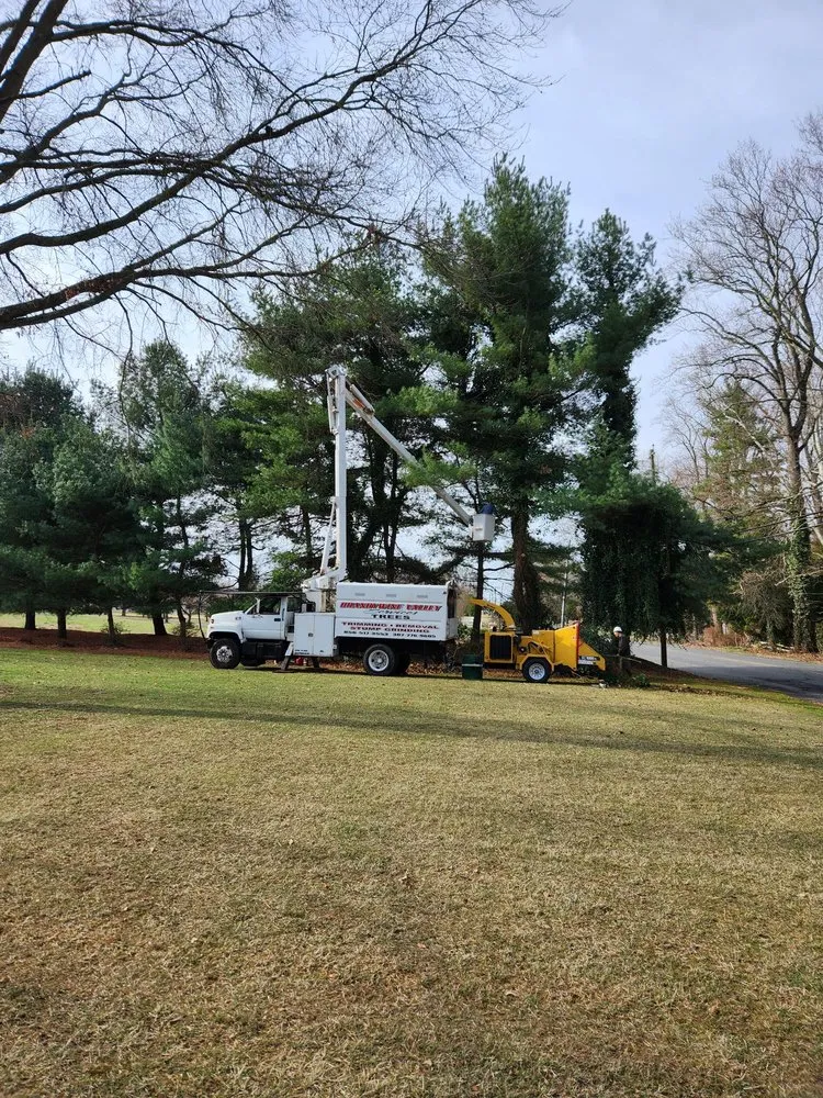 Affordable landscape installation in Deepwater, NJ by Brandywine Valley Services