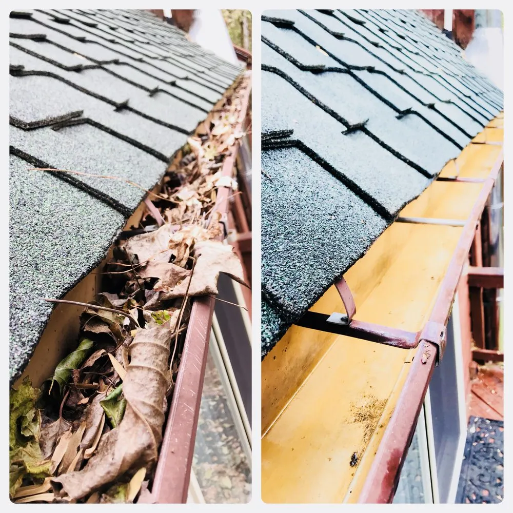 Expert yard maintenance in Kearneysville, WV by Branham Home and Office Solutions