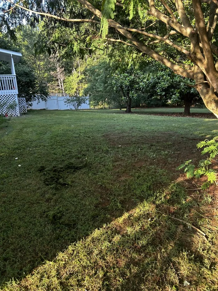 Trusted lawn mowing service in Woodruff, SC - Brannon Lawn Service