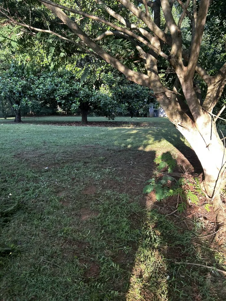 Reliable outdoor landscaping in Woodruff, SC by Brannon Lawn Service