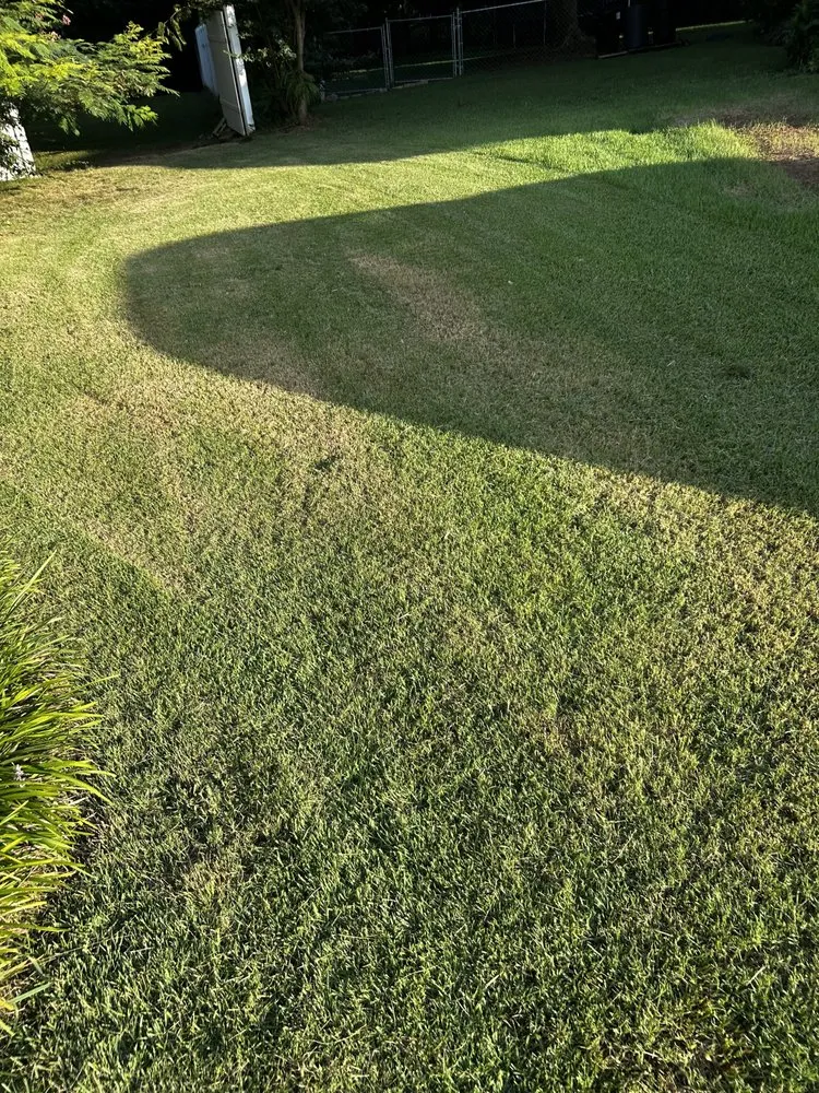 Reliable lawn care service for year-round maintenance across Woodruff, SC - Brannon Lawn Service