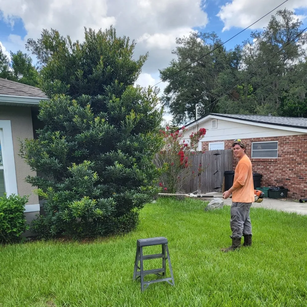 Top-rated garden landscaping for residential properties in Casselberry, FL by Brannon's landscaping an more