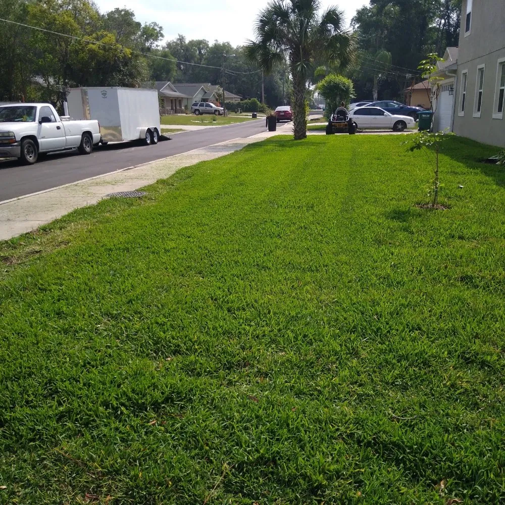 Local yard cleanup service in Casselberry, FL by Brannon's landscaping an more