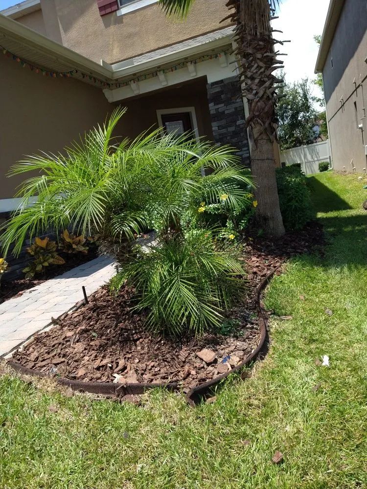 Local landscape installation with custom design across Casselberry, FL - Brannon's landscaping an more