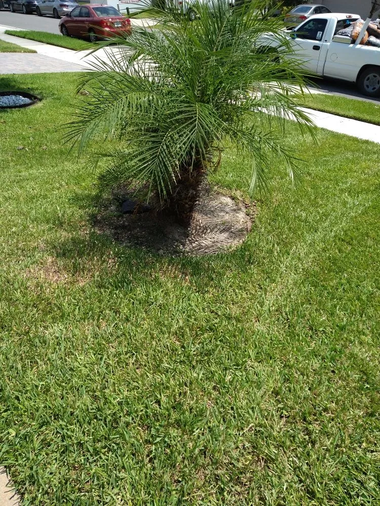 Local outdoor landscaping in Casselberry, FL - Brannon's landscaping an more