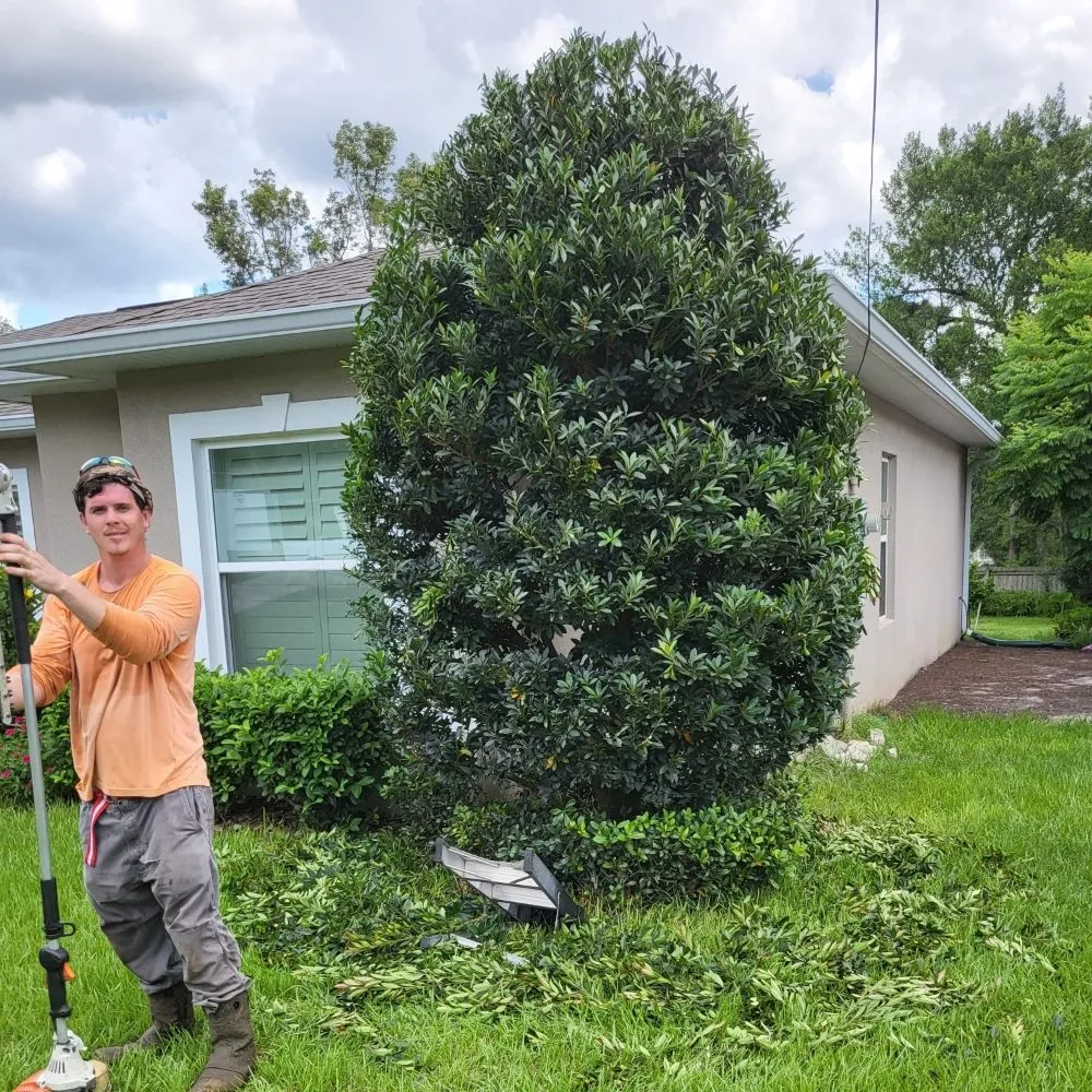 Top-rated lawn mowing service in Casselberry, FL by Brannon's landscaping an more