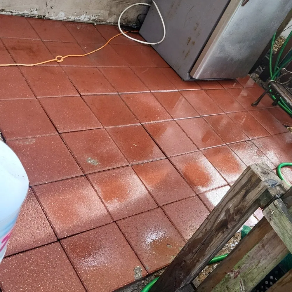 Trusted yard cleanup service near you in Casselberry, FL by Brannon's landscaping an more