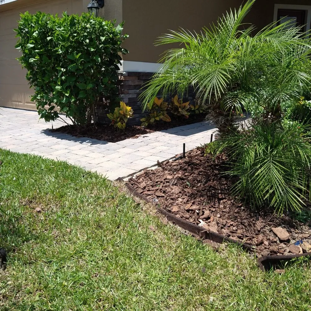 Expert landscape design in Casselberry, FL by Brannon's landscaping an more
