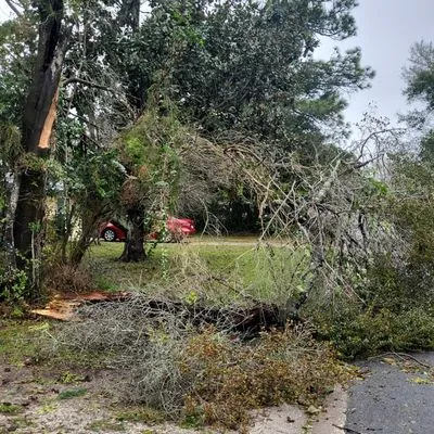 Brannon's landscaping an more Logo