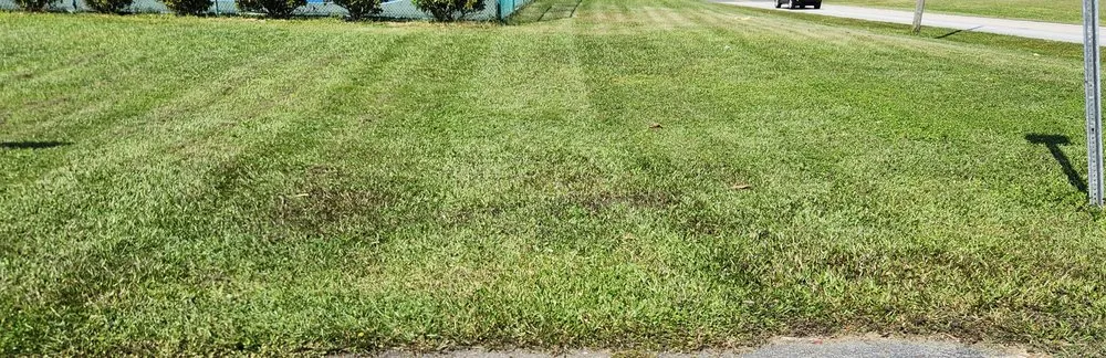 Reliable outdoor landscaping in Inglis, FL - Branns Lawn Care