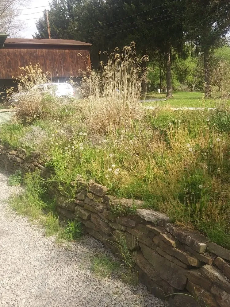 Custom landscape design in Imperial, PA - Branon William Suchar