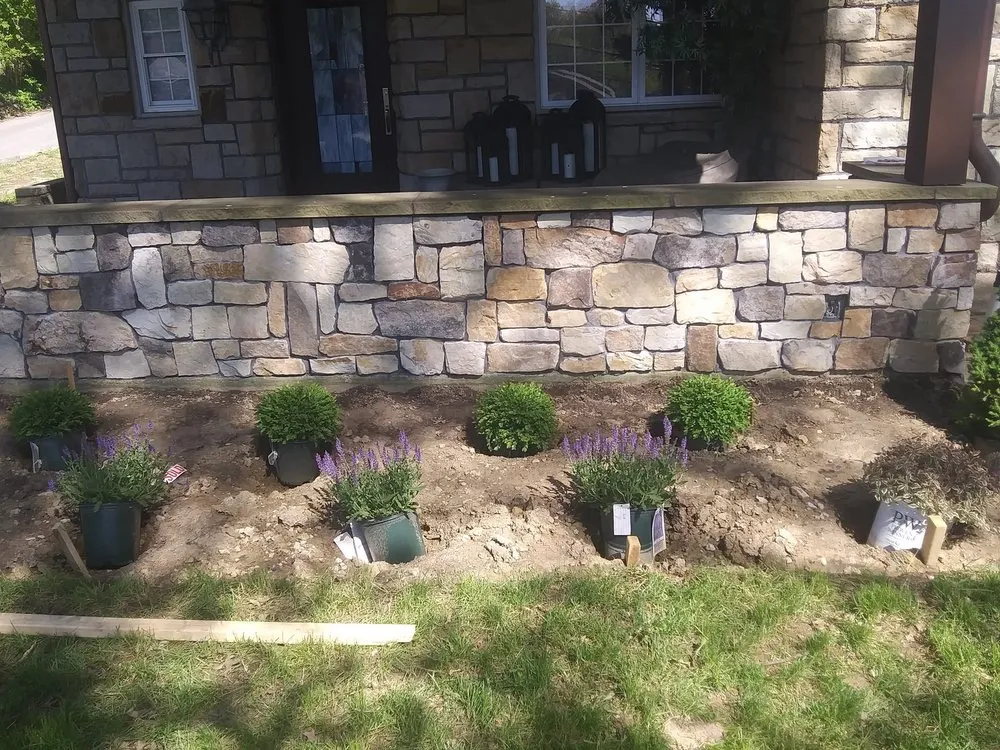 Expert yard cleanup service in Imperial, PA - Branon William Suchar