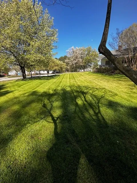 Affordable garden landscaping in Clayton, NC - Branscome Landscaping