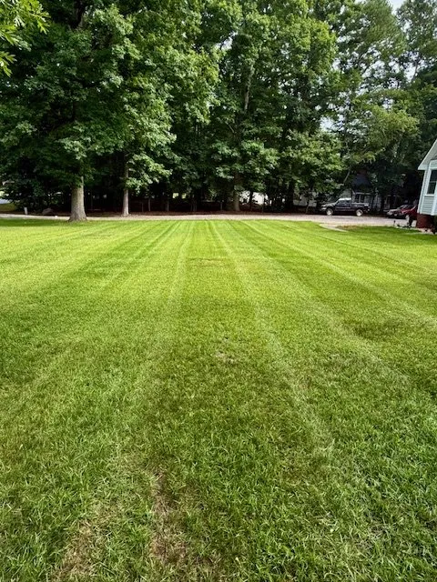 Trusted residential landscaping for beautiful yards across Clayton, NC - Branscome Landscaping