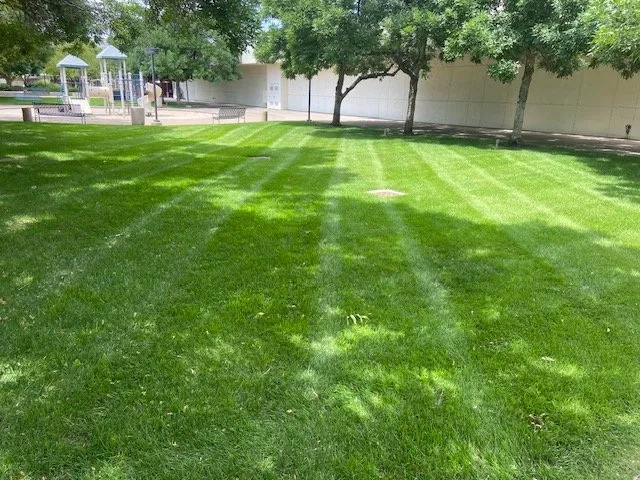 Expert landscape installation experts serving Clayton, NC - Branscome Landscaping