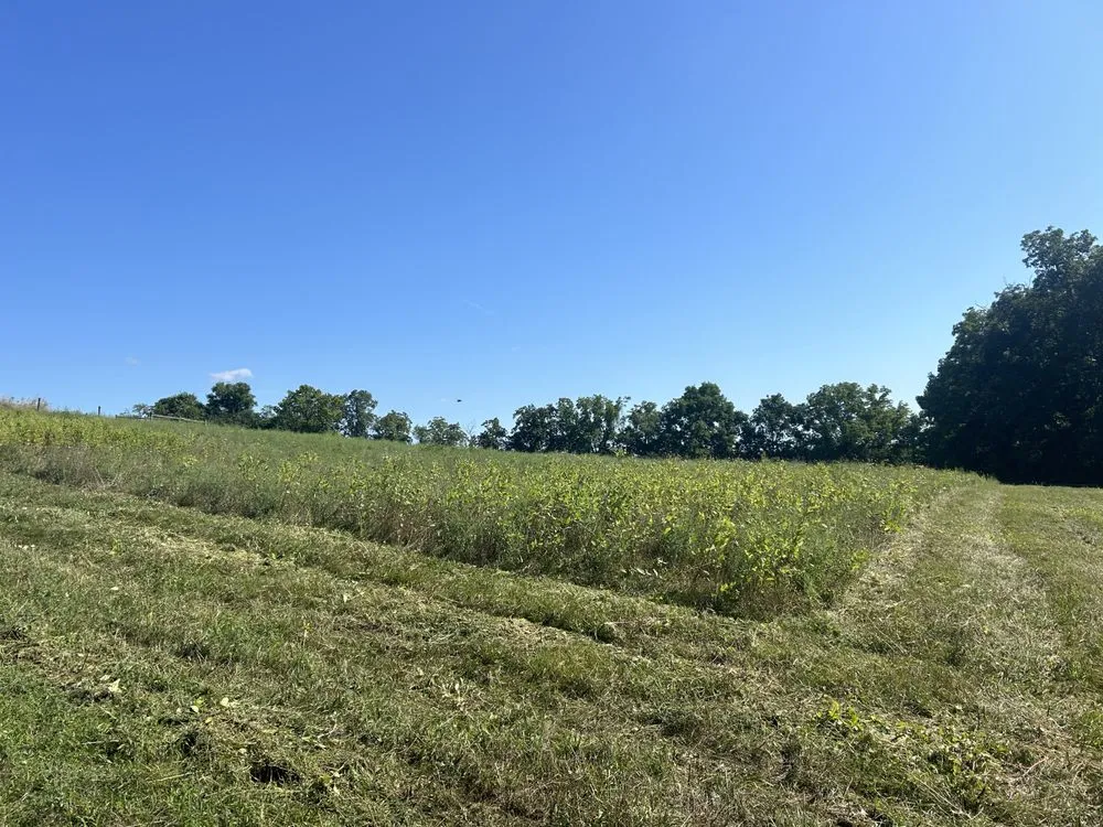 Expert landscape installation with custom design across Newville, PA - Brantner Lawncare