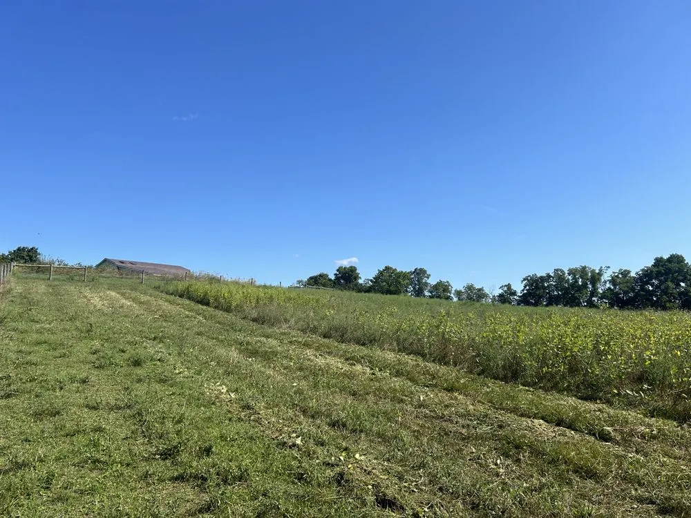 Custom outdoor landscaping for residential properties across Newville, PA - Brantner Lawncare