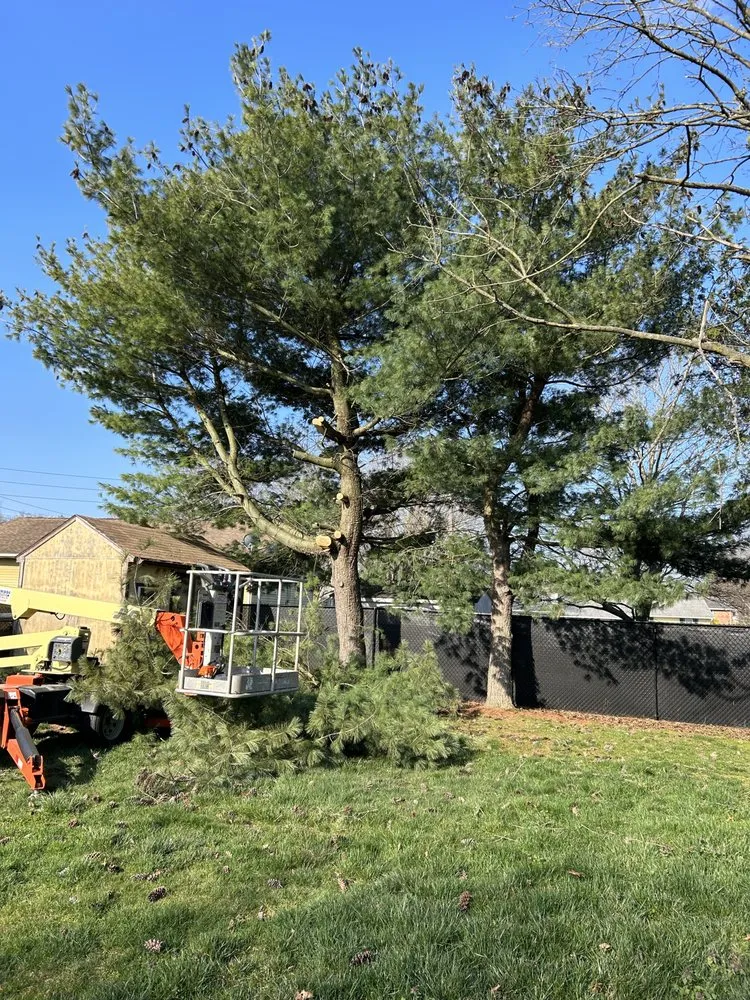 Affordable lawn care service near you across Newville, PA - Brantner Lawncare