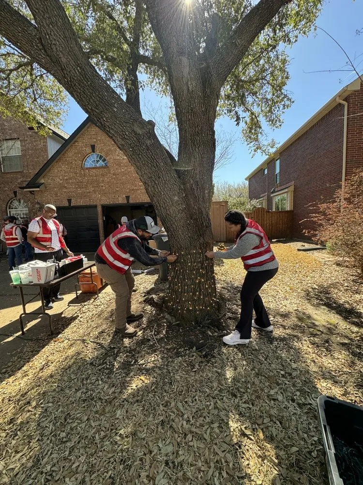 Affordable yard maintenance for residential properties across Garland, TX - Brant's Lawn Care