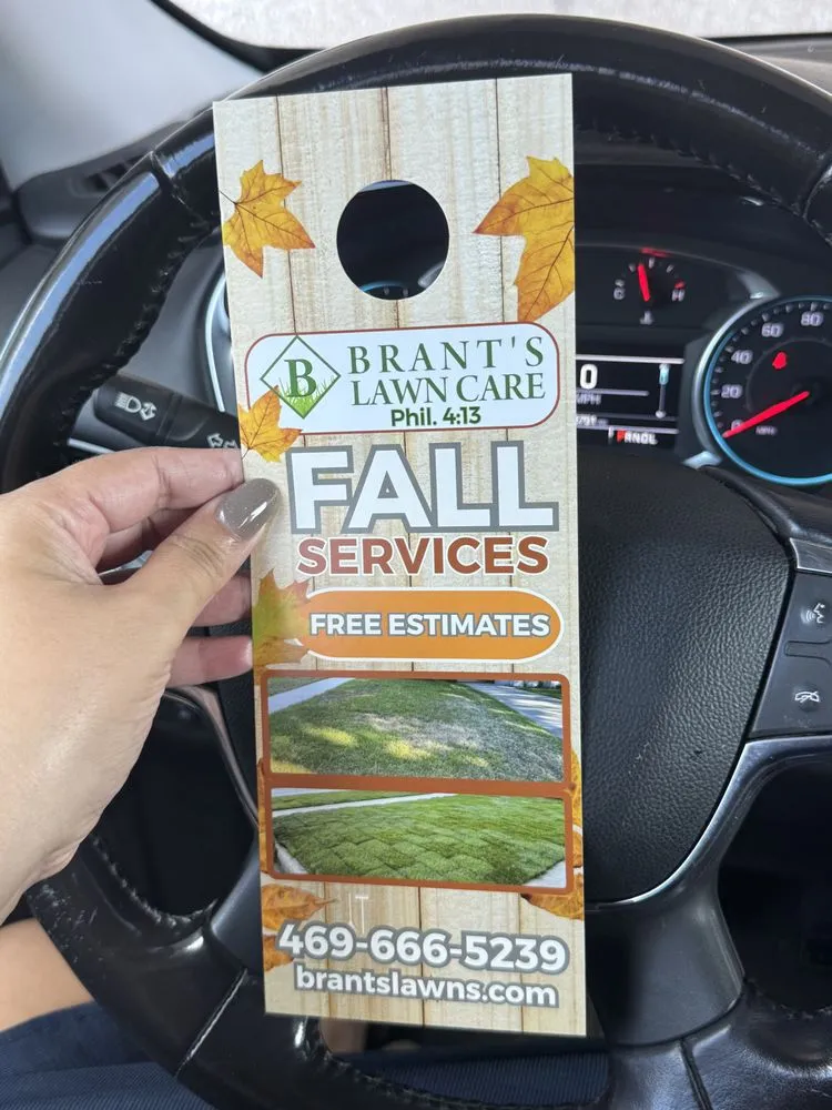 Trusted yard cleanup service experts serving Garland, TX - Brant's Lawn Care