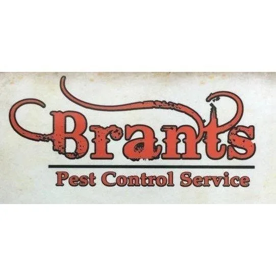 Custom landscaping services for beautiful yards across El Paso, TX - Brants Pest Control Services