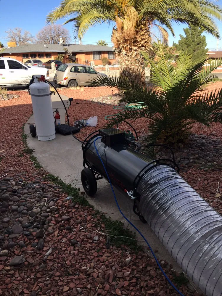 Expert yard cleanup service in El Paso, TX by Brants Pest Control Services