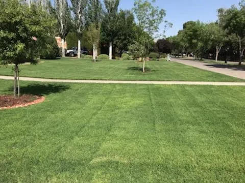 Trusted landscaping services for year-round maintenance in El Paso, TX by Brants Pest Control Services